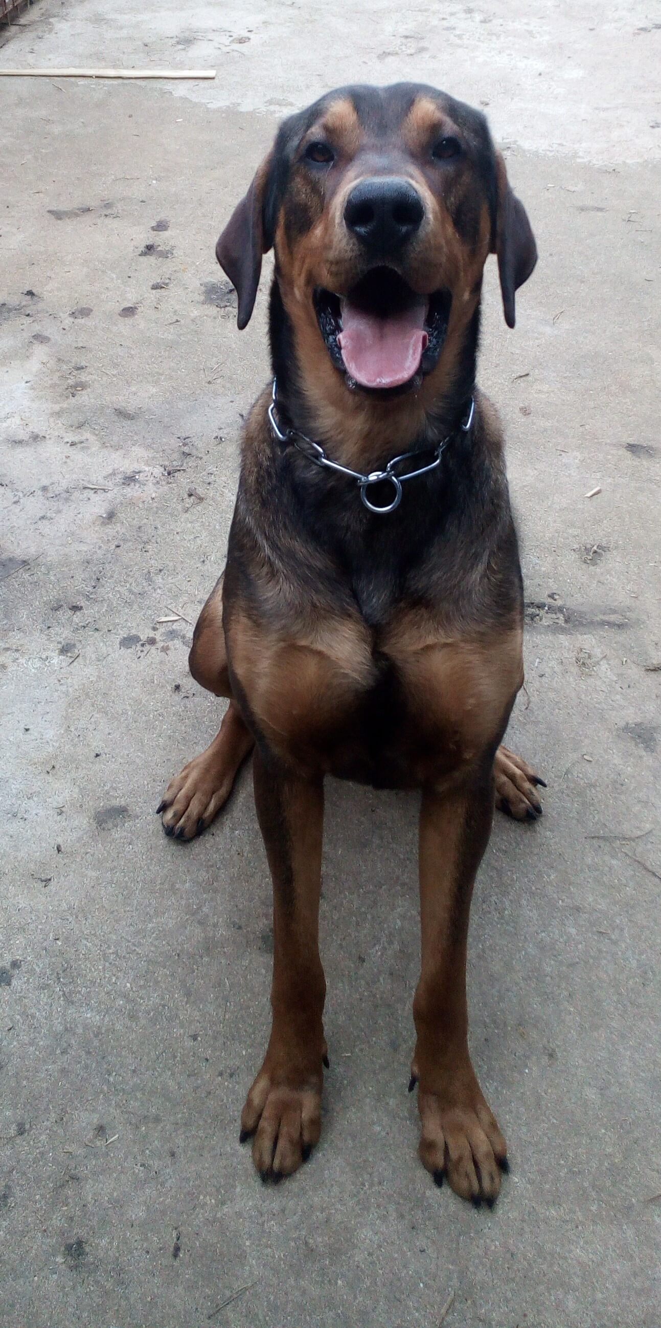 Max
